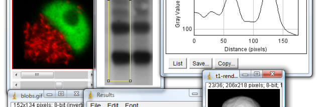 ImageJ screenshot