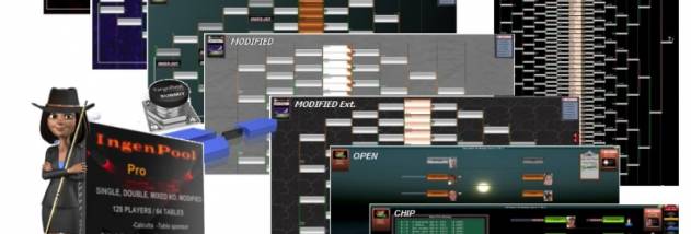 IngenPool Pro screenshot
