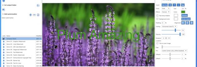 iWatermark Pro 2 for Windows screenshot