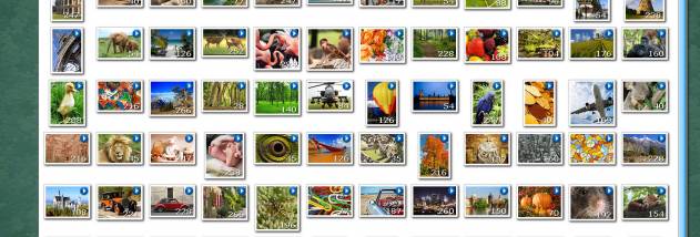 Jigs@w Puzzle Platinum screenshot