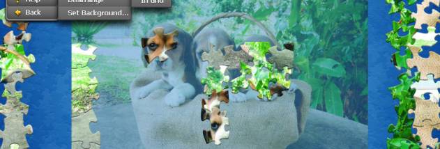 Jigs@w Puzzle screenshot
