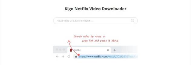 Kigo Netflix Downloader screenshot