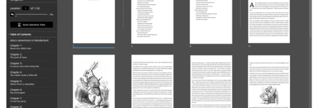 Kindle Previewer screenshot