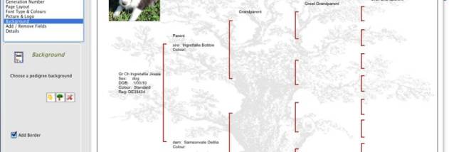 Kintraks Animal Breeder screenshot