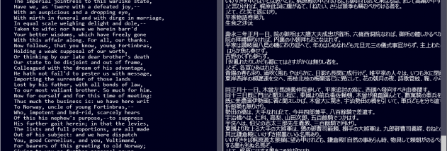 Large text viewer screenshot
