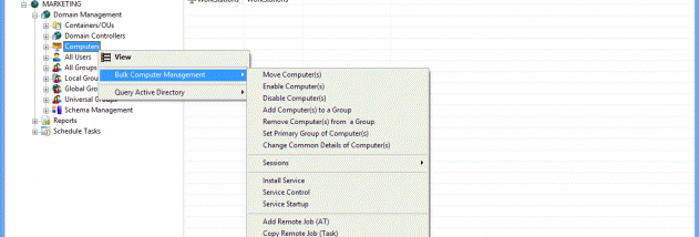 Lepide Active Directory Manager screenshot