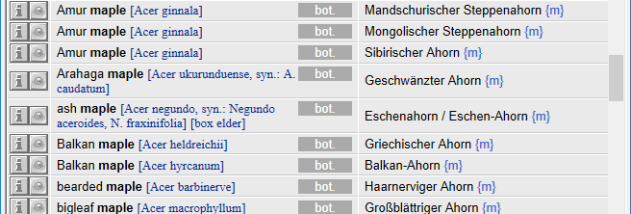 LingoClick screenshot