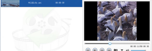 Lionsea AVI To DVD Converter Ultimate screenshot