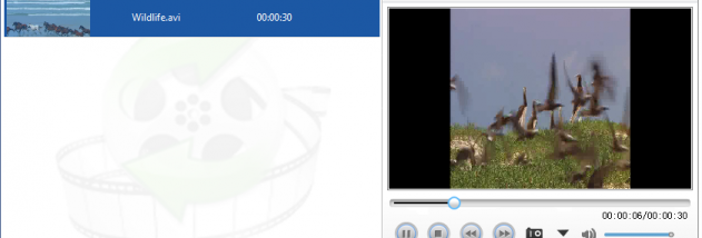 Lionsea AVI To MPEG Converter Ultimate screenshot