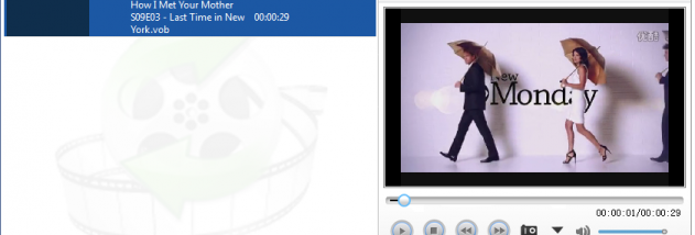 Lionsea DVD To IPad Converter Ultimate screenshot