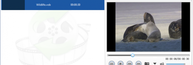Lionsea DVD To ITunes Converter Ultimate screenshot