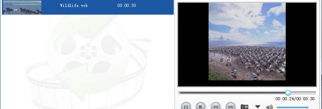 Lionsea DVD To MP4 Converter Ultimate screenshot