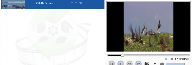 Lionsea MKV To AVI Converter Ultimate screenshot