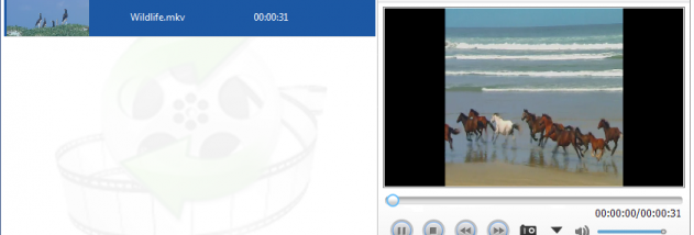 Lionsea MKV To DVD Converter Ultimate screenshot