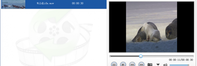 Lionsea MOV To AVI Converter Ultimate screenshot