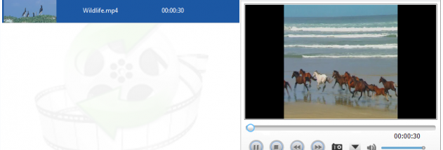 Lionsea MP4 To MOV Converter Ultimate screenshot