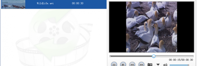 Lionsea MPEG Converter Ultimate screenshot