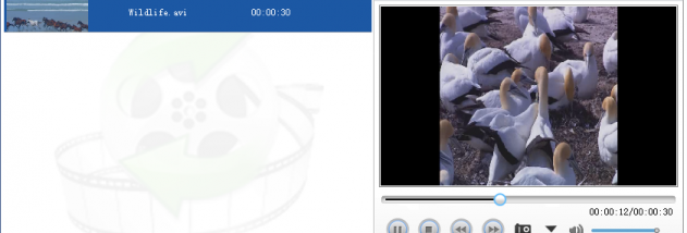 Lionsea MPEG4 Converter Ultimate screenshot