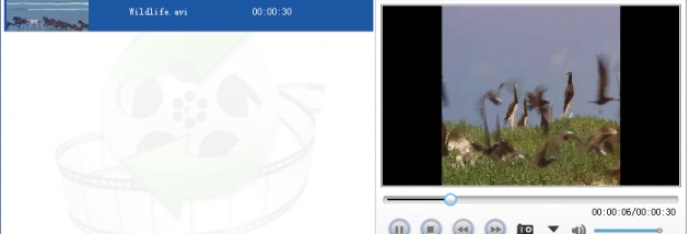 Lionsea Video To MP4 Converter Ultimate screenshot