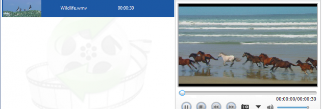 Lionsea VOB To MP4 Converter Ultimate screenshot