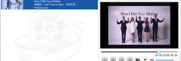 Lionsea WMV To AVI Converter Ultimate screenshot