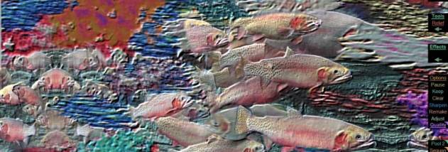 Liquib (32-bit) screenshot