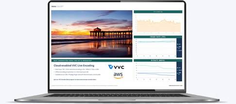 MainConcept VVC/H.266 screenshot