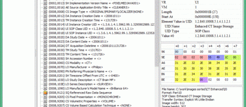 Makhaon DICOM Dump screenshot