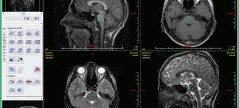 Makhaon Workstation screenshot