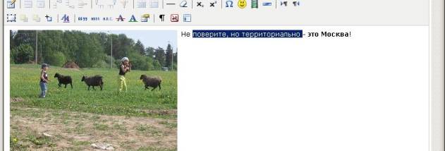 Maple4 Site Creator screenshot
