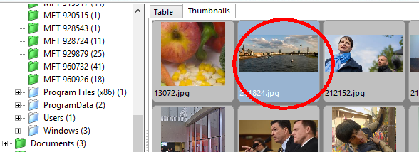 MaxDataGenius screenshot