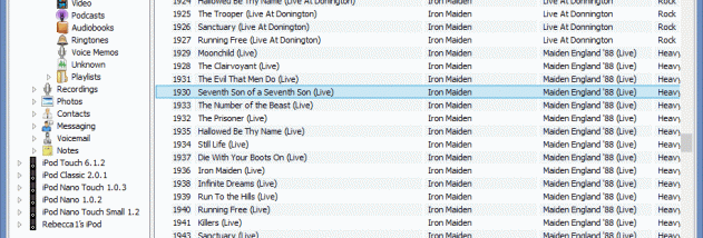 MediaWidget - Easy iPod Transfer screenshot