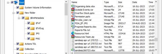 Memory Card Data Recovery Service screenshot