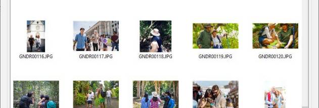 Memory Card Data Repair Tool screenshot