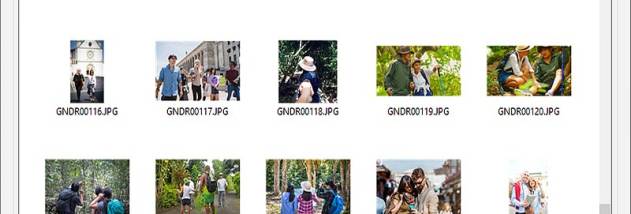 Memory Stick Recovery Software screenshot
