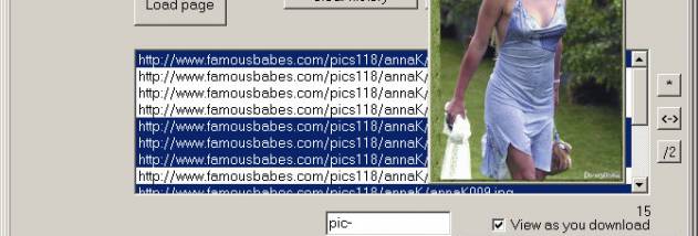 Mihov Picture Downloader screenshot