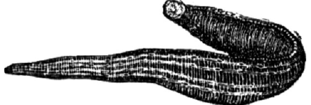 MiKTeX Portable screenshot