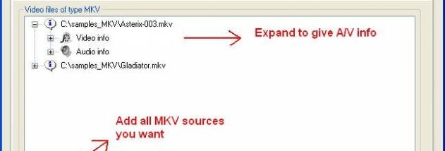 MKV2AC3 screenshot