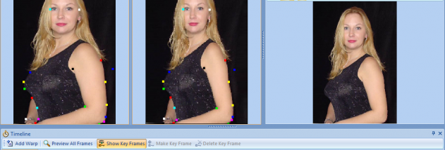 Morpheus Photo Warper screenshot