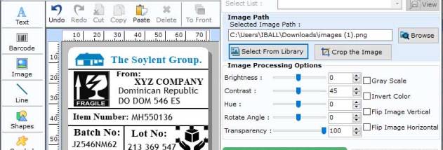 MSI Plessey Barcode Printing Tool screenshot