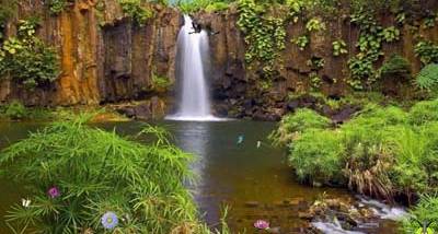 Nature Reserve Screensaver screenshot