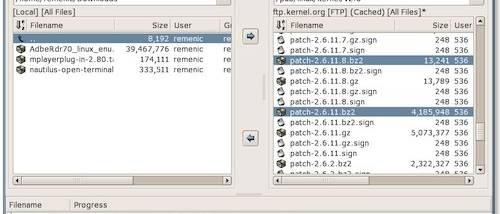 NcFTP Client screenshot