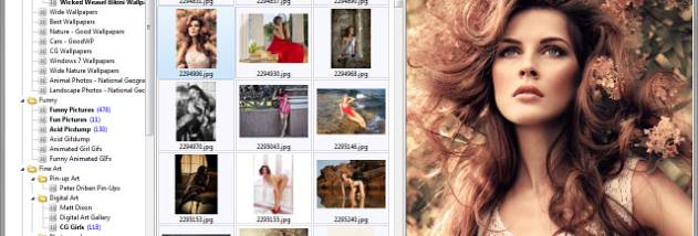 NeoDownloader screenshot