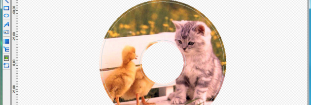 Nero CoverDesigner 2020 screenshot