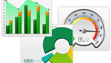 Nevron Vision for SSRS screenshot