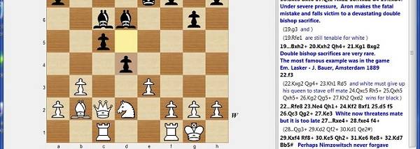 Nimzo_2023 Chess GUI screenshot