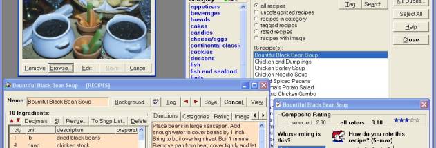 Now Youre Cooking Recipe Software screenshot