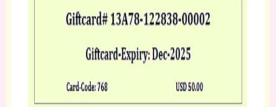 NUGN Giftcard Software screenshot