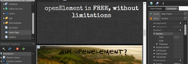 openElement screenshot