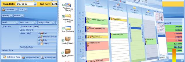OrgFinances for Workgroup screenshot